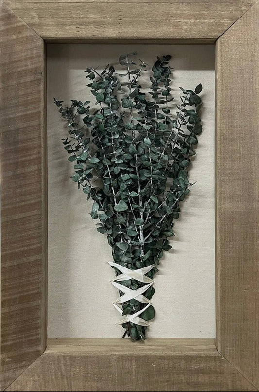Framed Preserved Eucalyptus