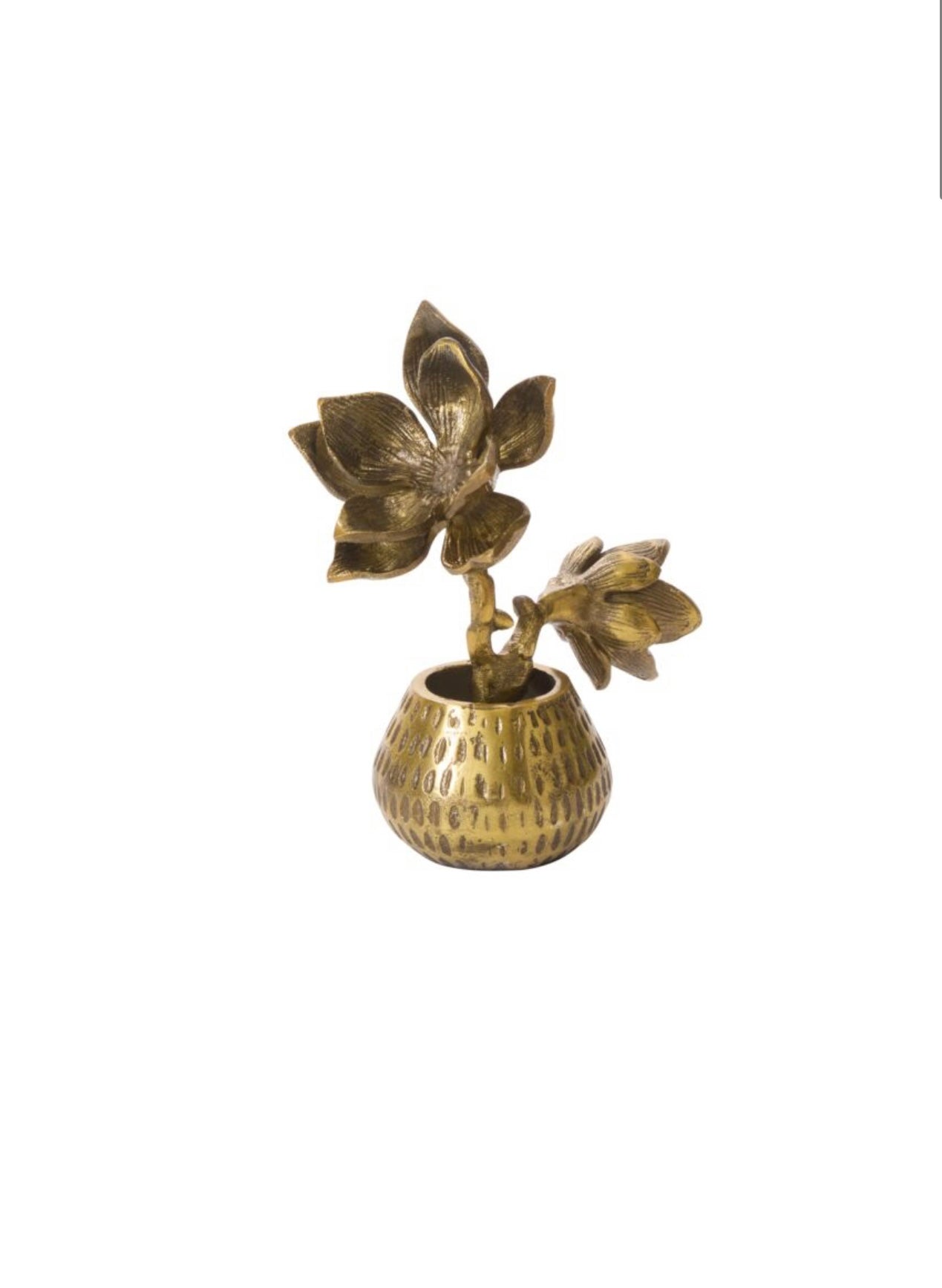 Brass Magnolia Sculpture