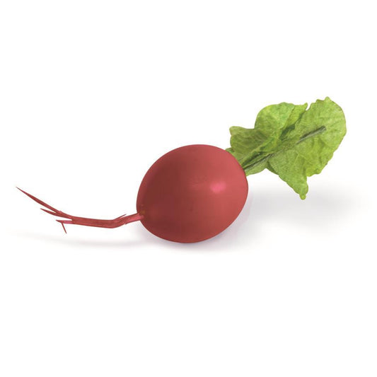 Little Radishes