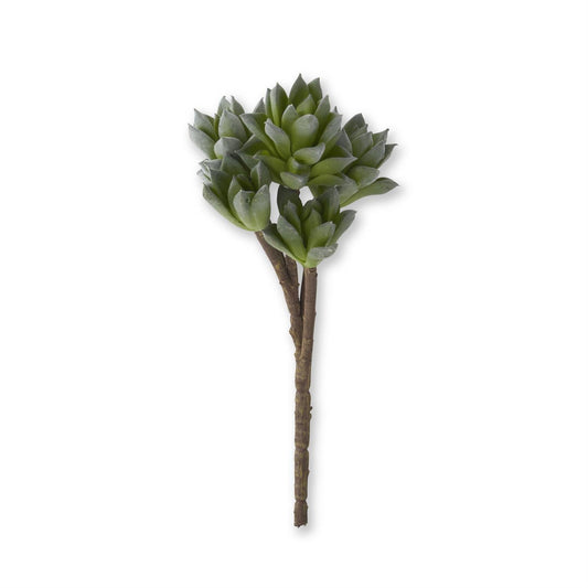 5 Head Succulent Pick