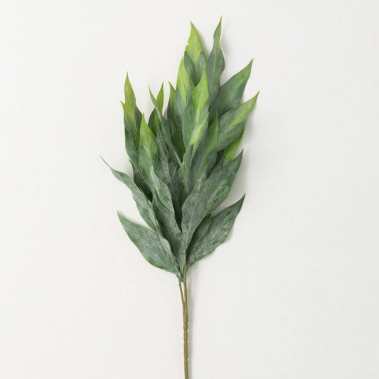 Green Oblong Leaf Stem