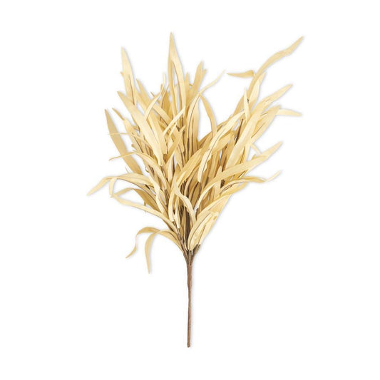 Cream Grass Bush