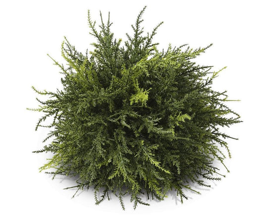 Cedar Ball