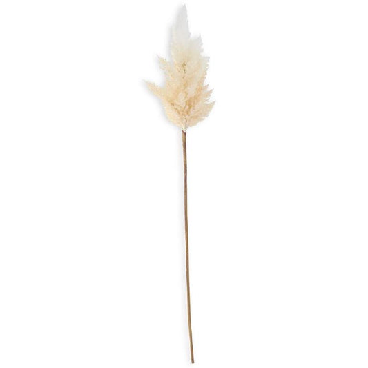 Ombre Flocked Pampas Grass Branch