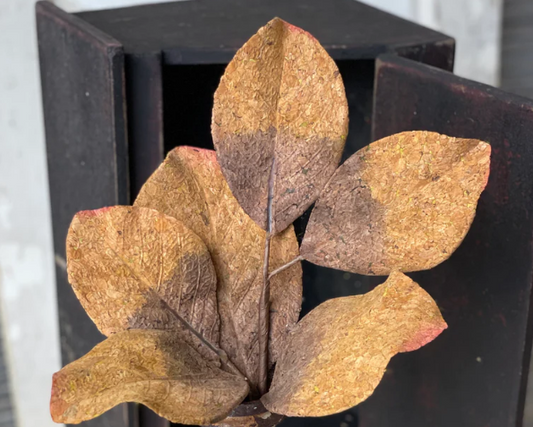 Magnolia Pick