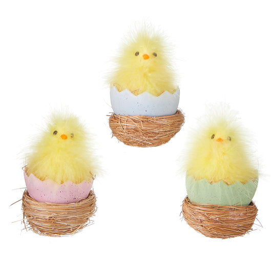 Hatched Chick In Nest