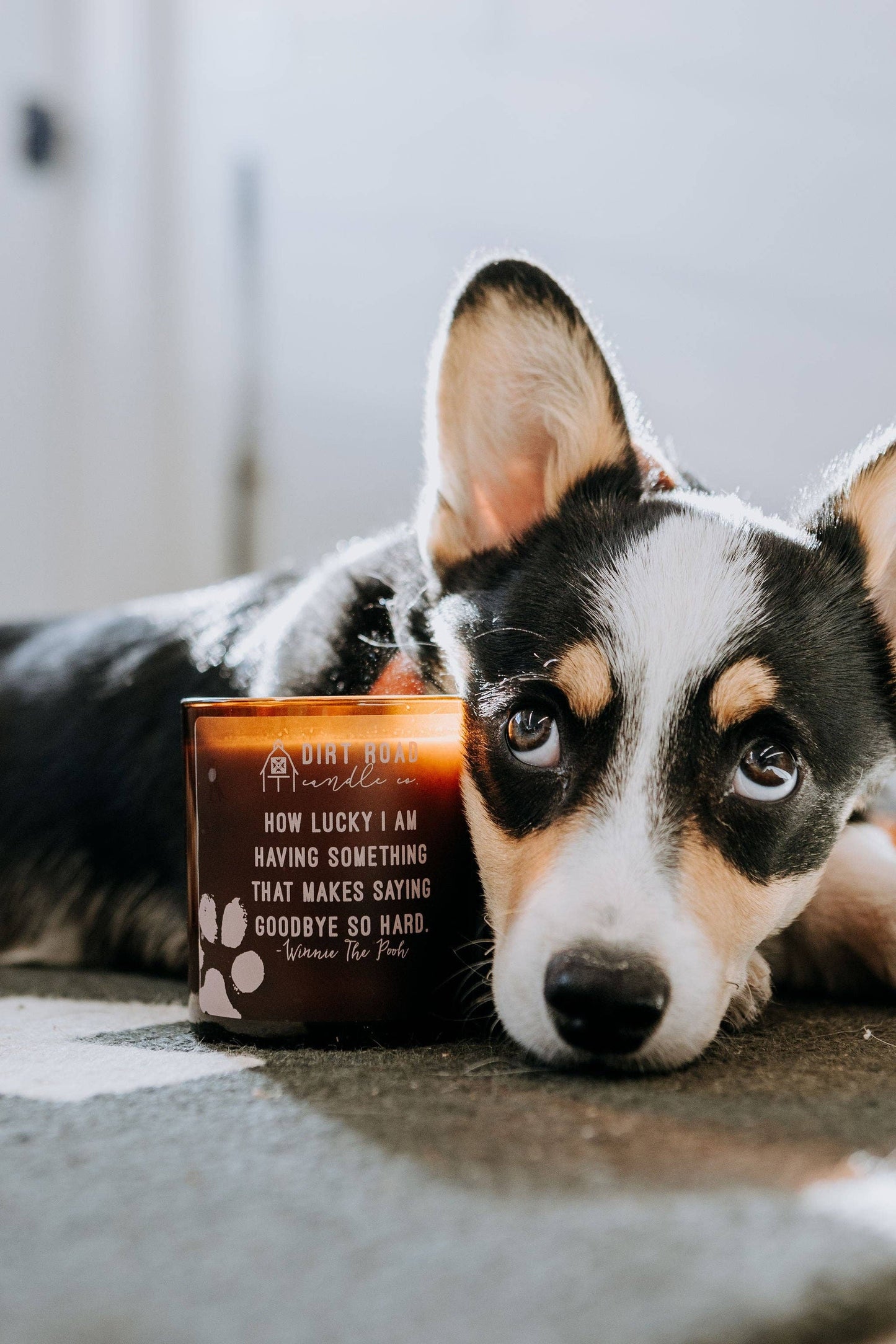 10 oz. Pet Loss Candle