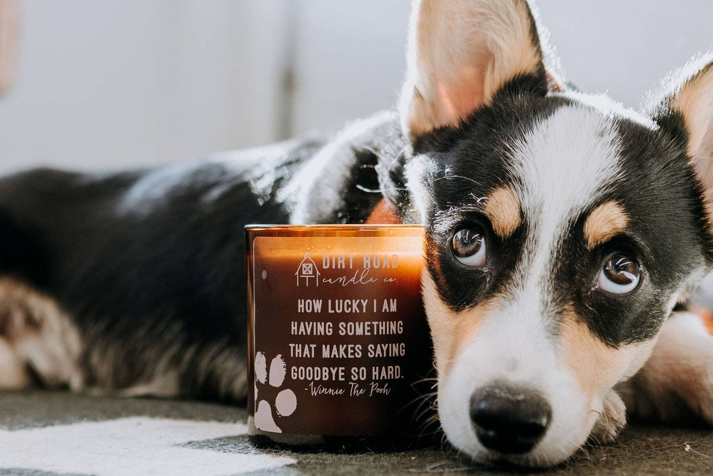 10 oz. Pet Loss Candle