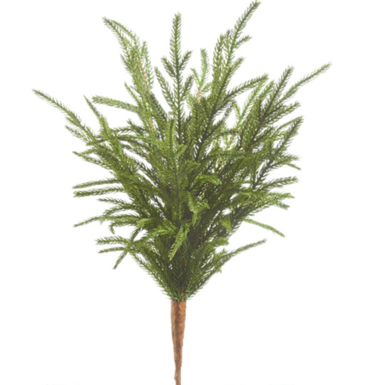 Norfolk Pine Pick