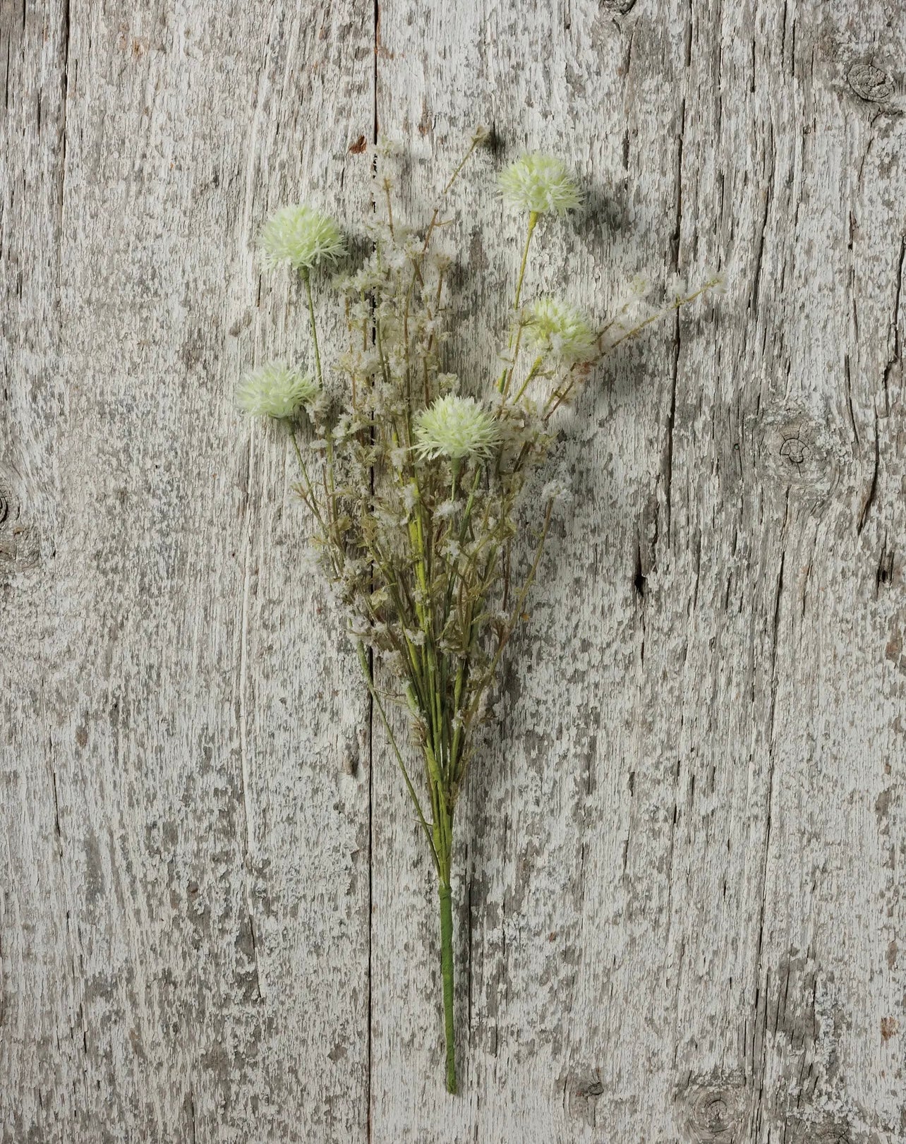 White Thistle Pick