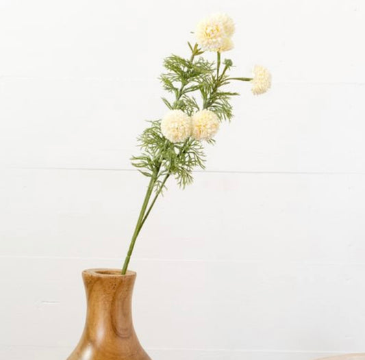 Chrysanthemum Stem