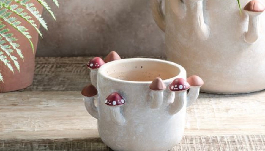 Mushroom Planter