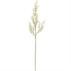 White Flower Stem