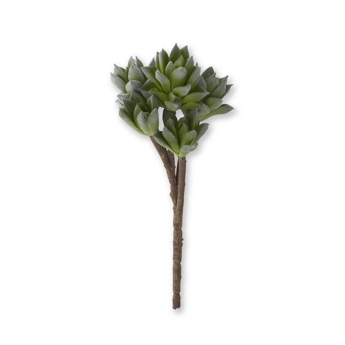 5 Head Succulent Pick