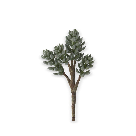 Flocked Donkey Tail Succulent