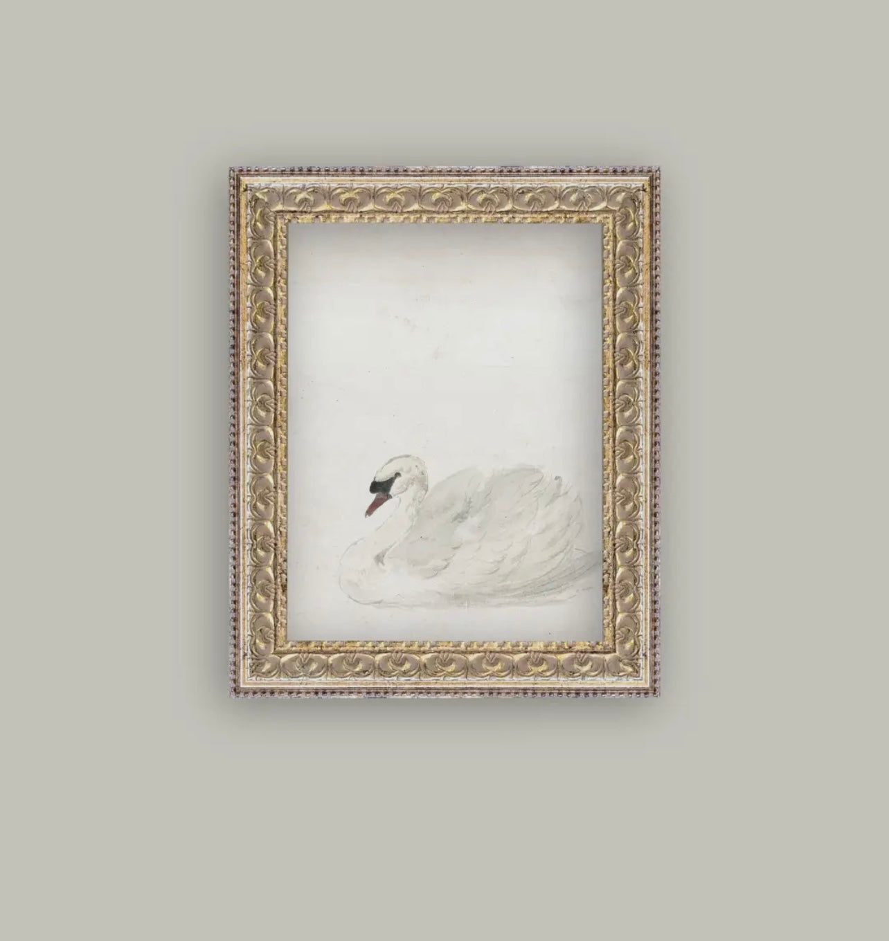 White Swan Framed Art