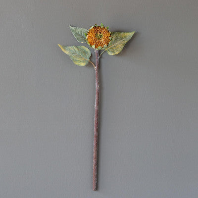 Dried Sunflower