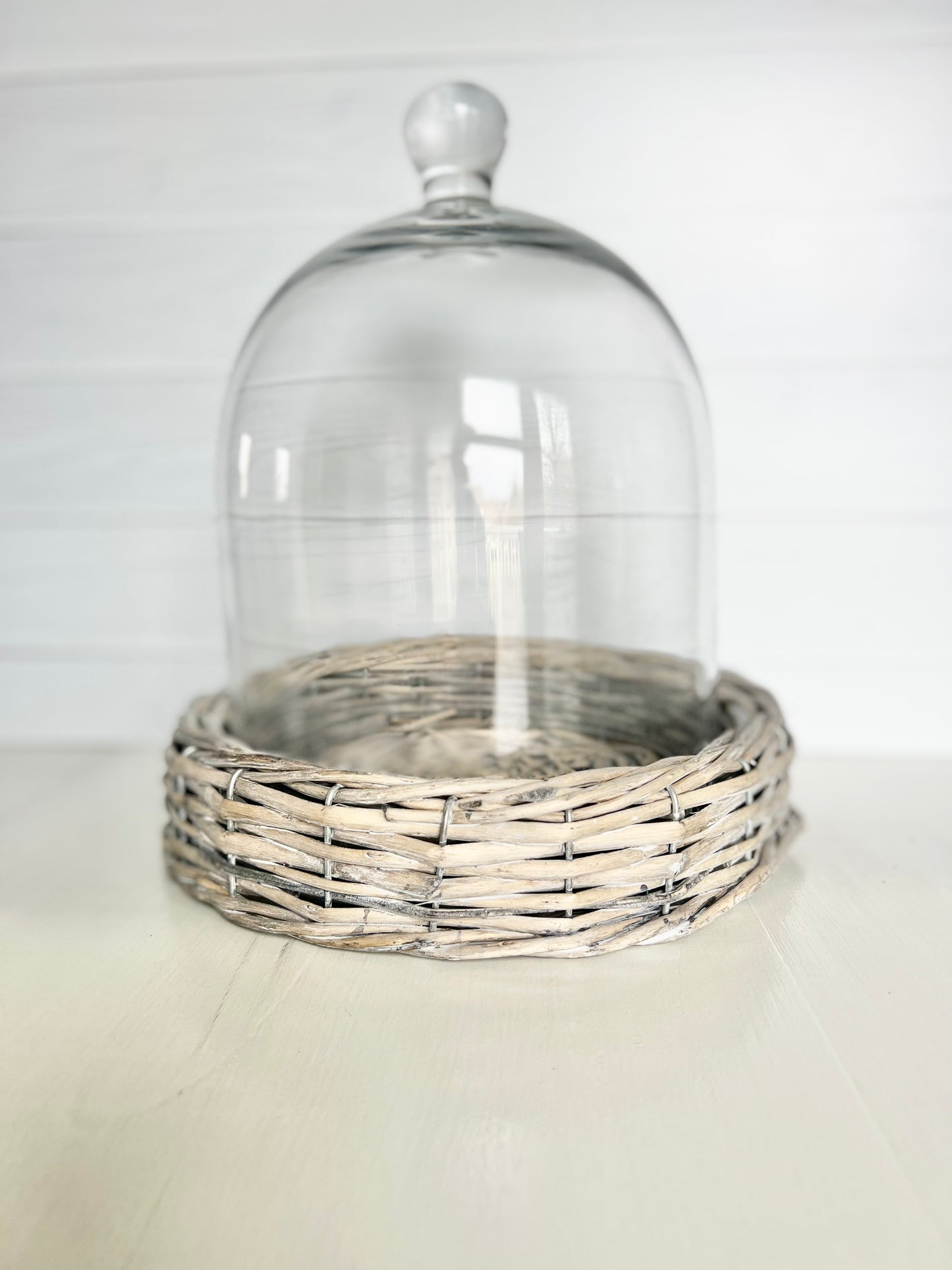 Glass Cloche with Willow Base