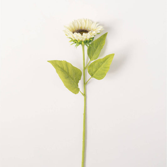 Cream Sunflower Stem
