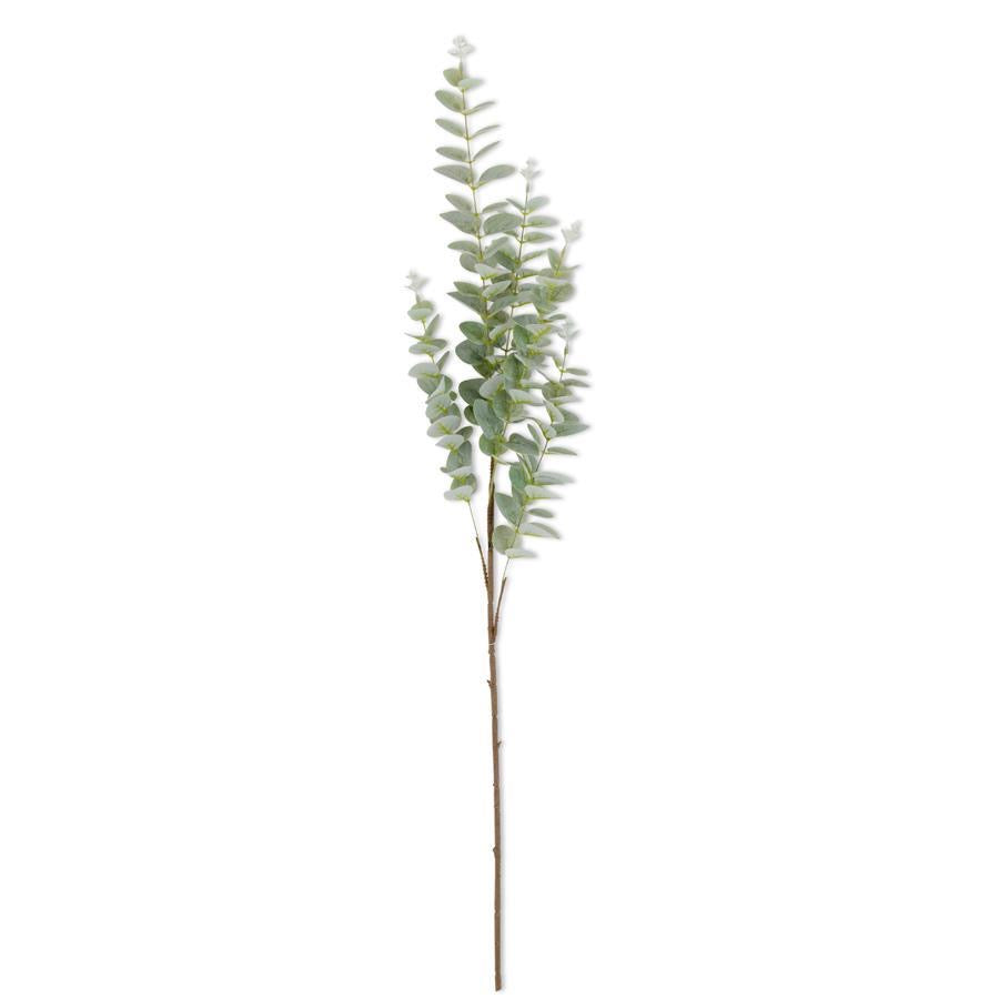 Light Green Eucalyptus Stem