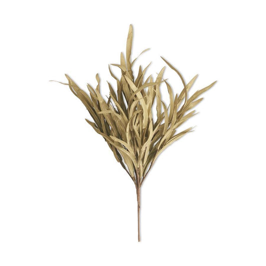Green Grass Bush