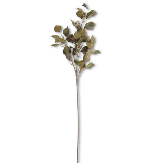 Forest Green Silver Dollar Stem