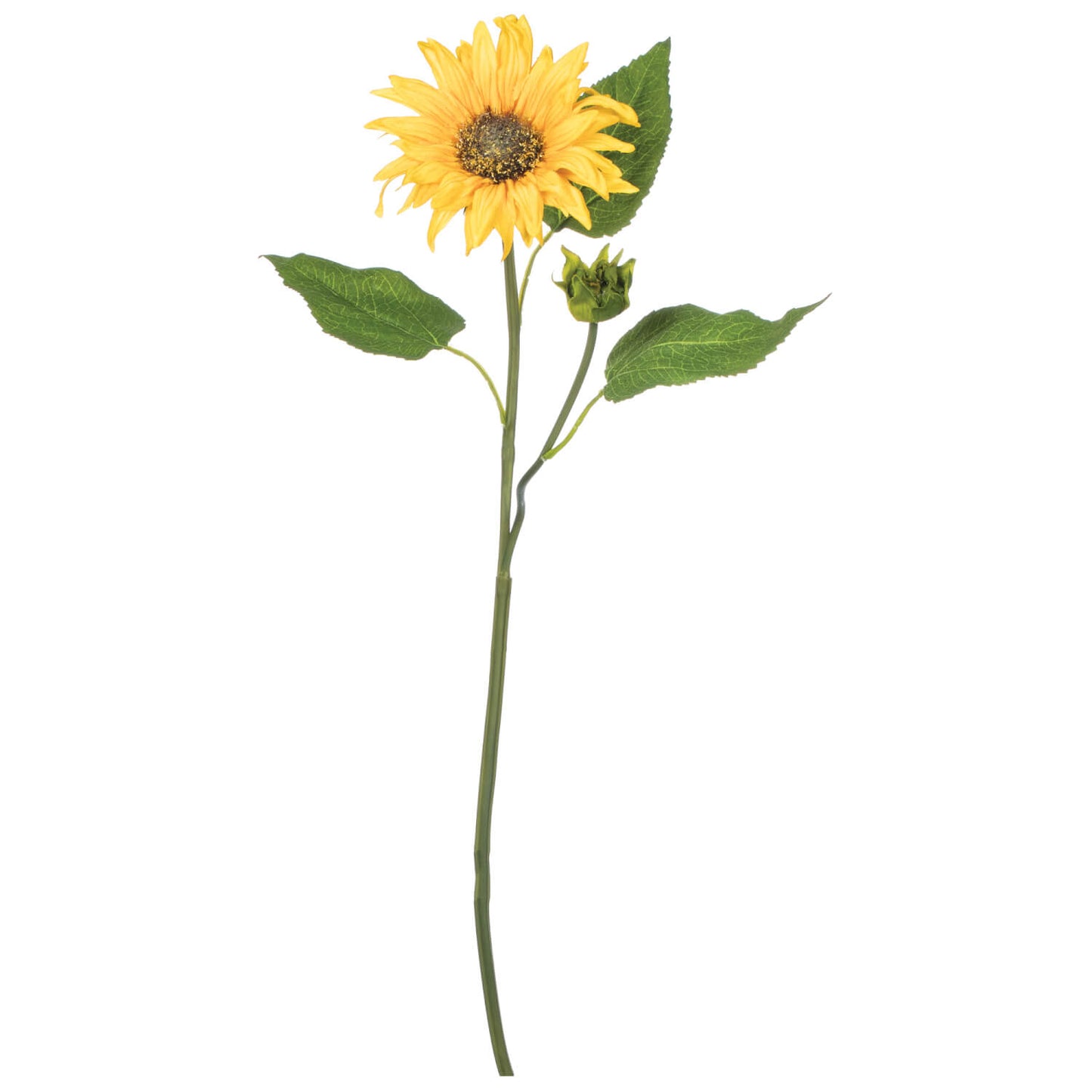 Golden Sunflower Stem