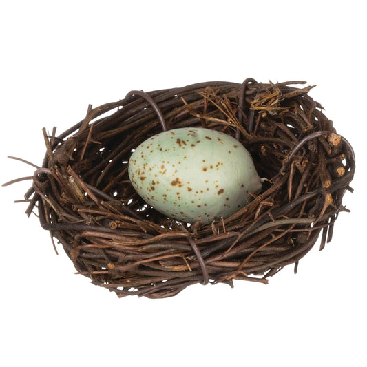 Birds Nest with Robin Egg