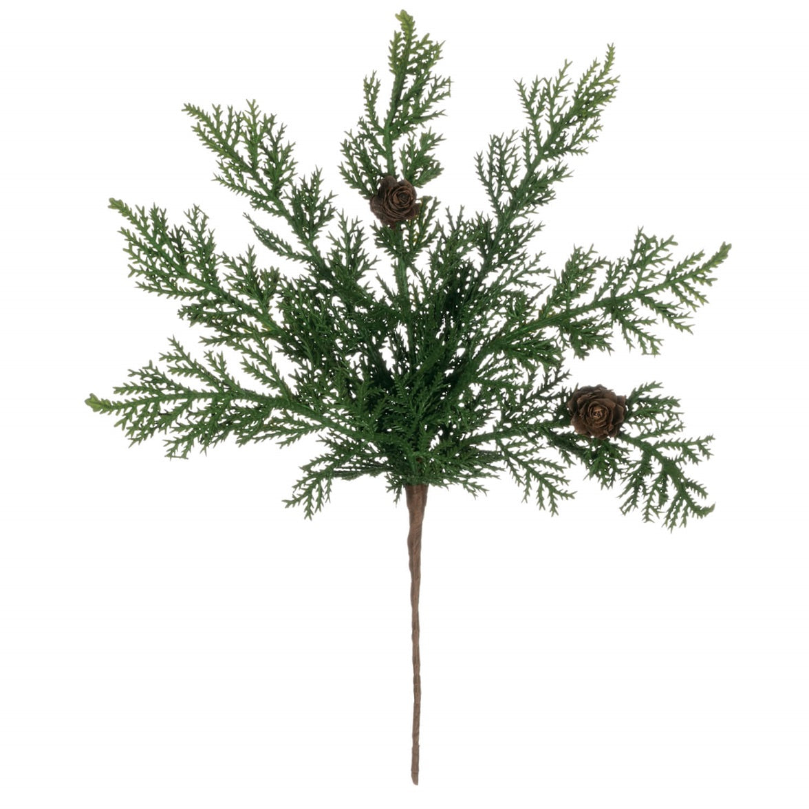 Cypress with Pinecones Pick