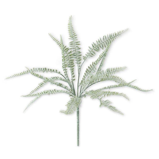 Powdered Fern