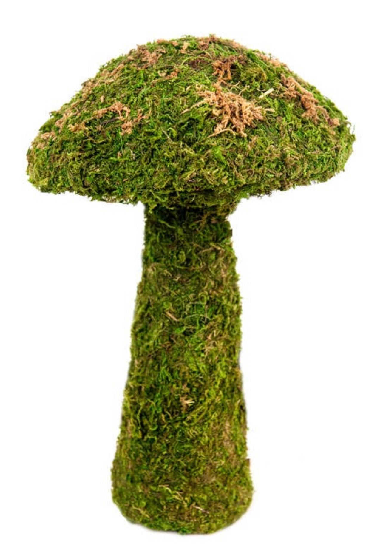 Moss Mushroom